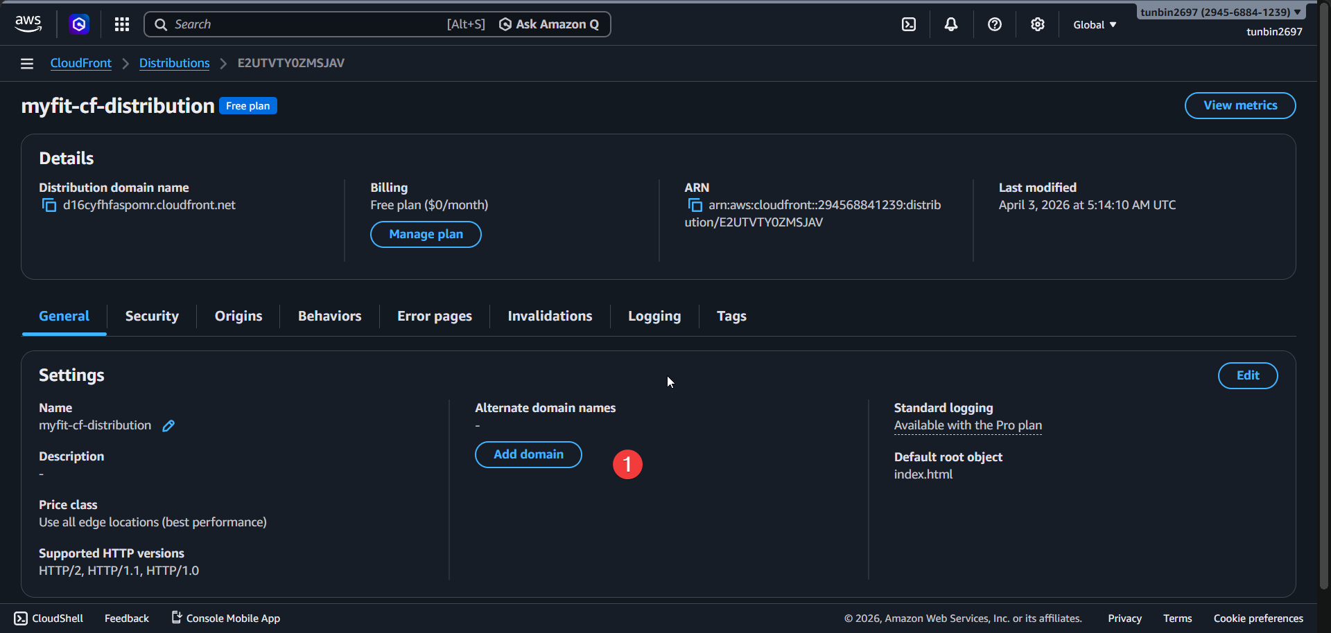 CloudFront add domain entry