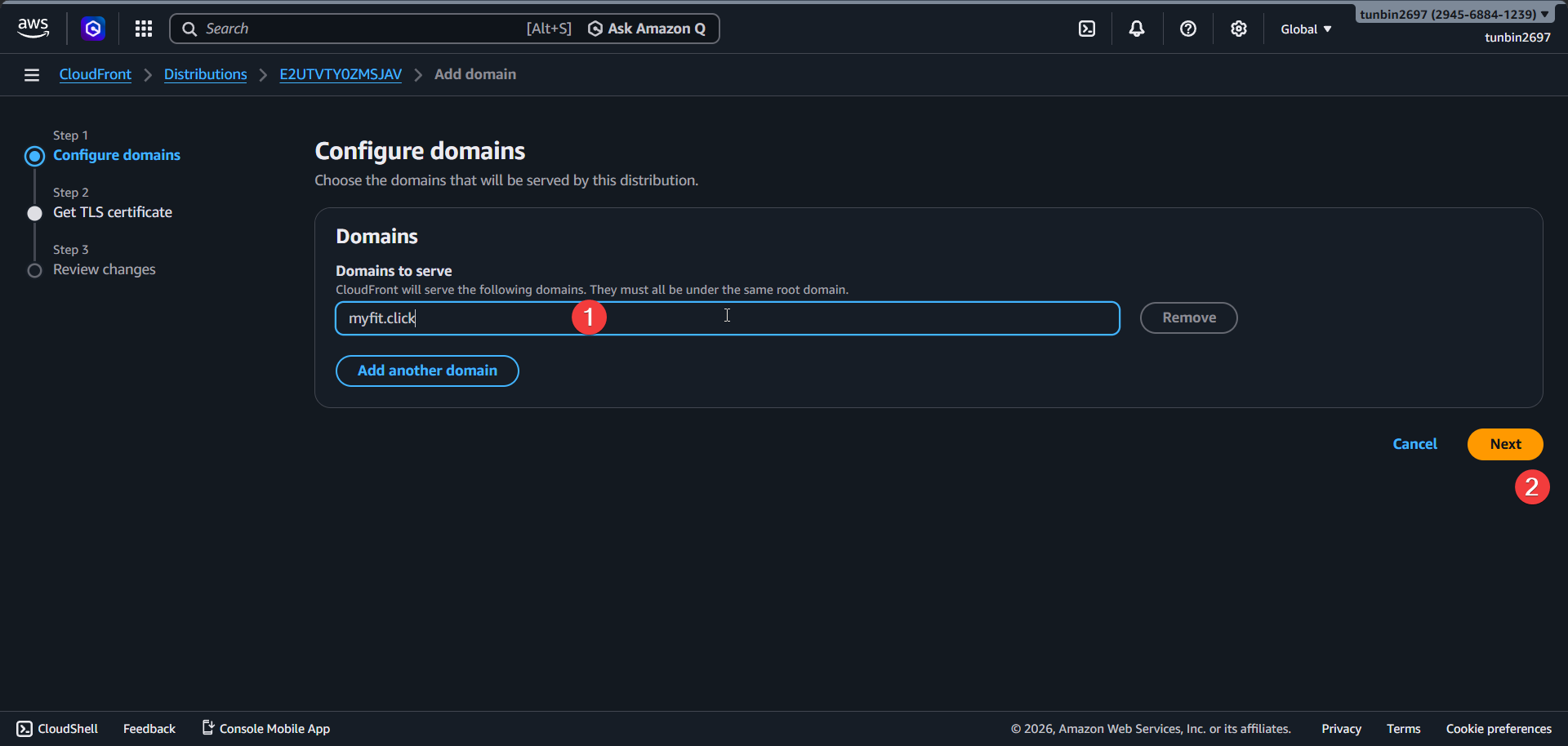 CloudFront configure domains