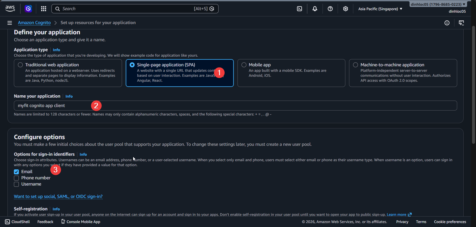 Cognito app setup basic