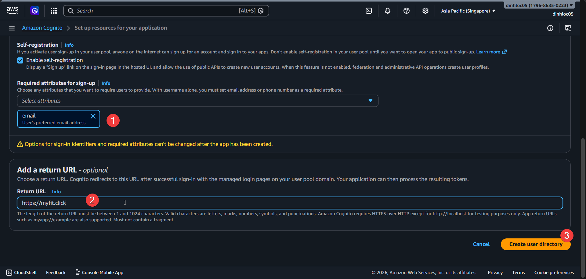 Cognito app setup and return URL